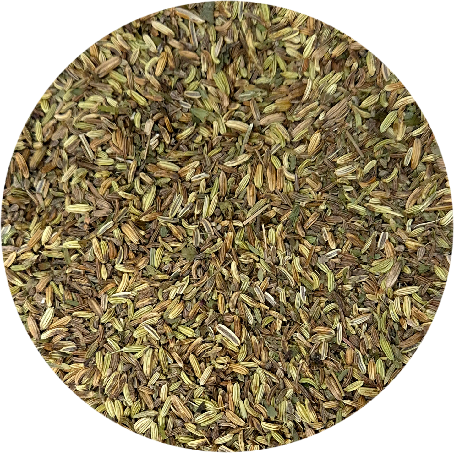 Cocon d’Allaitement